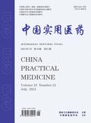 中国实用医药杂志