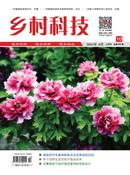 乡村科技杂志