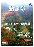 新西部杂志