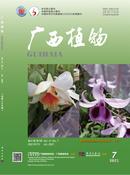 广西植物杂志