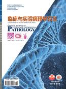 临床与实验病理学杂志