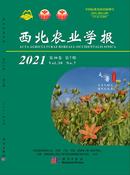西北农业学报杂志