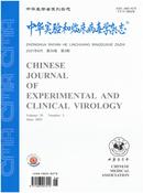 中华实验和临床病毒学杂志