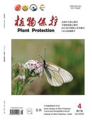 植物保护杂志