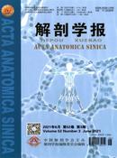 解剖学报杂志