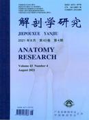 解剖学研究杂志