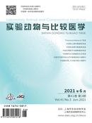 实验动物与比较医学杂志