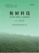 桉树科技杂志