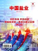中国盐业杂志