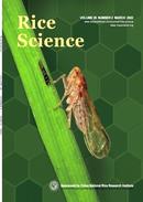 水稻科学杂志