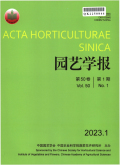 1698047608416842.jpg 1.jpg
