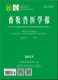 1698129188342197.jpg 1.jpg