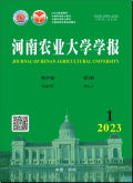1698205092257388.jpg 1.jpg
