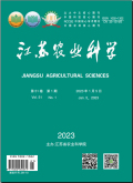 1698282705792291.jpg 1.jpg