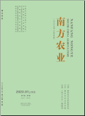 1698284977708414.jpg 1.jpg