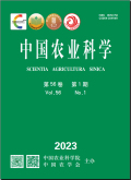 1698291120960077.jpg 1.jpg