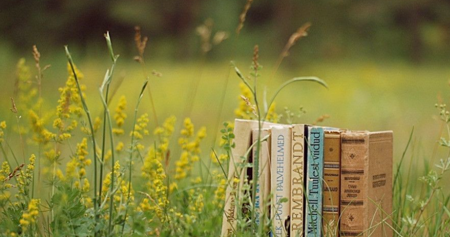 期刊投稿必备指南：青年学者如何构建学术声誉与打造个人标签？