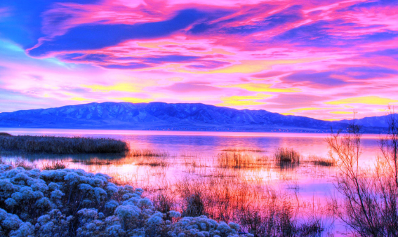 1763130061196526.png bd65b8b9-11d0-485c-916a-528901fa2192.png