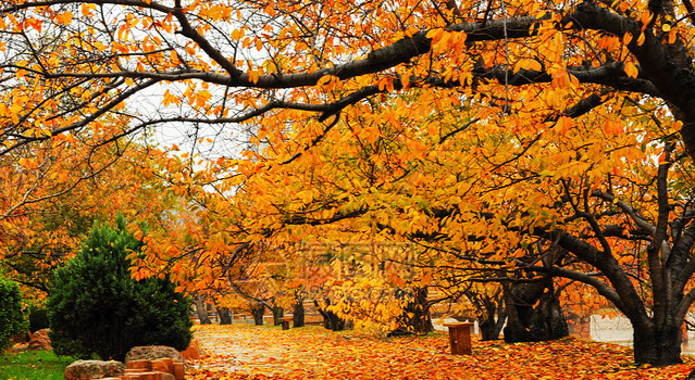 d78899f7-9cc4-41d5-97f9-116905f23ef6.png