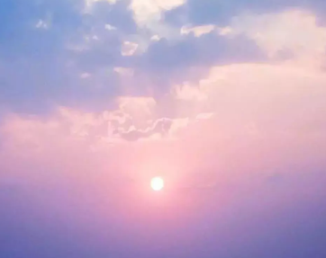 1763649205216313.png 318bdae4-5fe0-4f17-8025-032538c0f88c.png