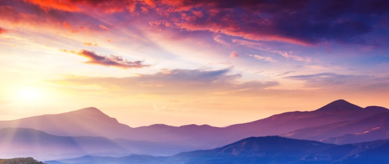 1763738095662011.png 6529758d-bf74-4eff-ae4e-593d4c8c3480.png