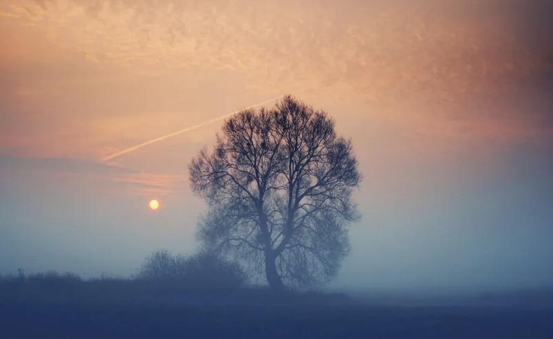 1764951804801661.png cfc8165e-710e-42bf-949b-af5ccb77bd7c.png