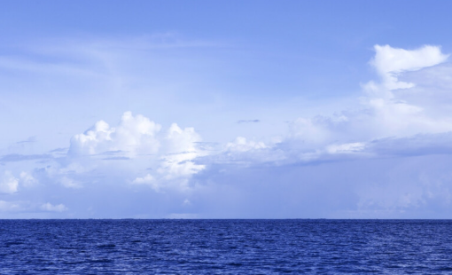 1766366521422967.png 18b7b589-412d-4668-8332-12b5e8a77f25.png