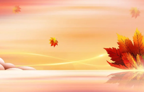 1767146254793418.png e17551f3-5074-4682-8514-f8f84c4d3feb.png