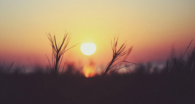 937d6a50-4100-4279-a652-06ec28177dea.png