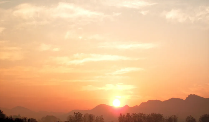 1767193655596778.png 60ec5cec-759f-431a-bd9c-2e0d6e9a8b0b.png
