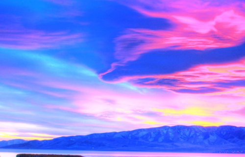 1768543882396371.png 059e335e-2eaf-47cc-bc34-21c44ce7e368.png