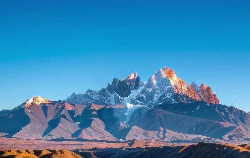 1772263728623748.png fe6aa524-344b-4b3f-92cd-e638afd4f143.png