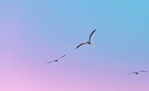 1779092824519454.png ac564125-bd08-4a25-bb31-e5507ce1d8ce.png