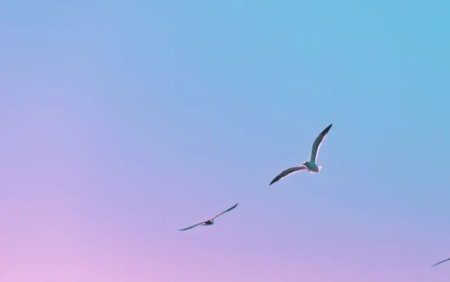 1779260106323179.png 75d26ec4-1aa4-4c7e-9b3d-d96419cad923.png
