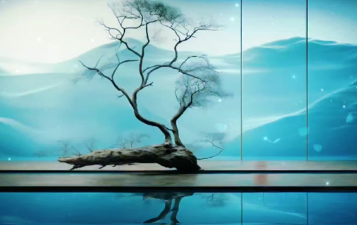 1779264479375223.png 83ccc268-5cd4-4221-b48a-05911520bd04.png