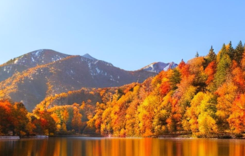 1779690466355574.png 4c6158b8-7d7f-4135-a8d9-2ebcf59f03eb.png