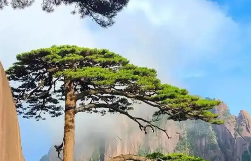 1780294012764881.png aa8b059f-24a4-44e7-b7fb-1200c838494e.png