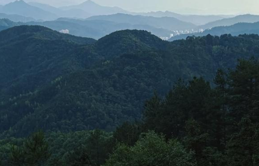 425c9221-48a8-4d87-8a2f-682d694801b0.png