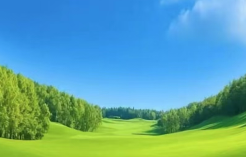 1781245810354723.png 1b4ef0a5-bf68-4c45-93ea-d6279ecc9e48.png