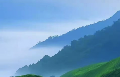 1781246812782926.png 46110a53-964a-4996-8c2d-e3c24f5cc1bd.png