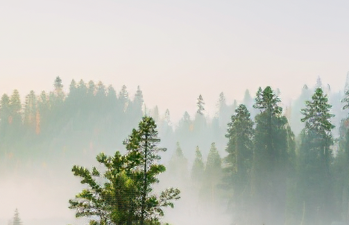1782285922204667.png 7b754635-6086-489b-ba4e-52c2df9c33d8.png